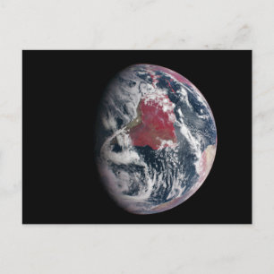 Plant Growth On Planet Earth. Postcard