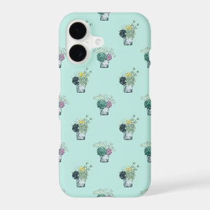 Plant Happiness Collection   Succulents
