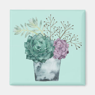 Plant Happiness Collection   Succulents Magnet