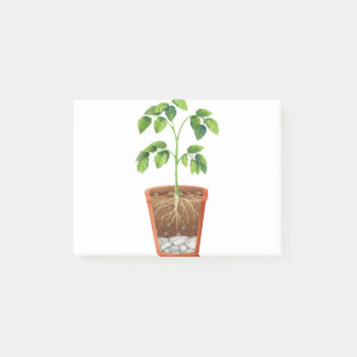 Plant in pot post-it notes