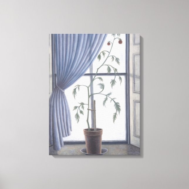 Plant in Window 2003 Canvas Print (Front)