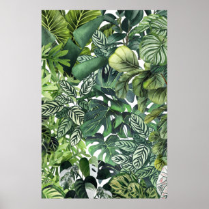 Plant leaves poster