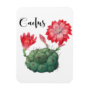 Plant Lover Cactus Plant Magnet