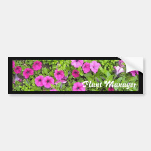 Plant Manager Bumper Sticker