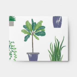 Plant pattern envelope