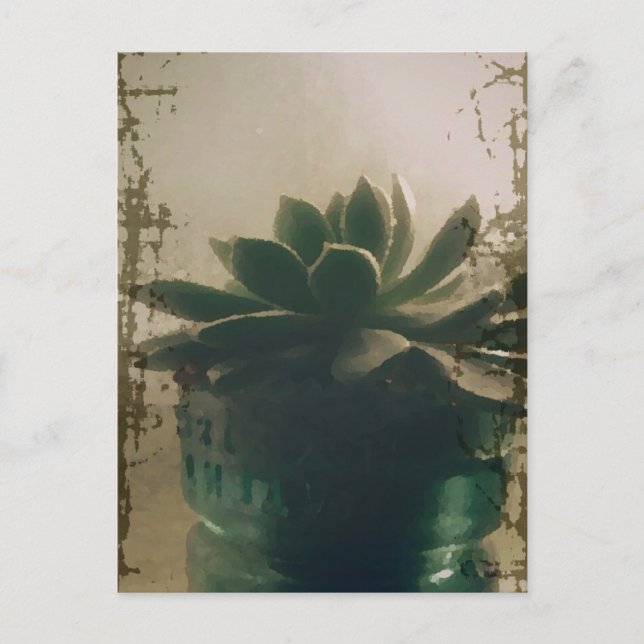 Plant Postcard (Front)
