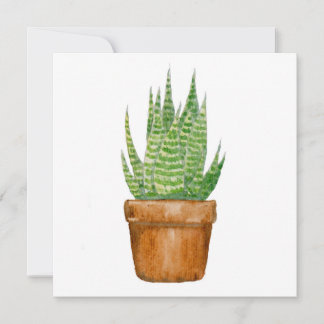 Plant pot - flat greeting card