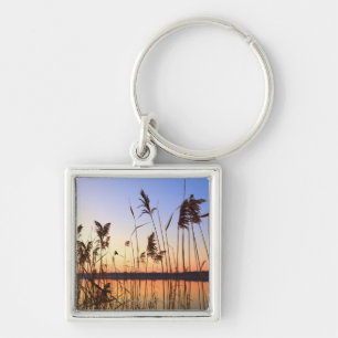 Plant Silhouette by Lakeside sunset Key Ring