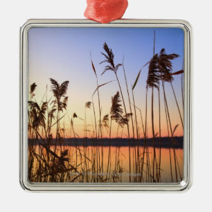 Plant Silhouette by Lakeside sunset Metal Ornament