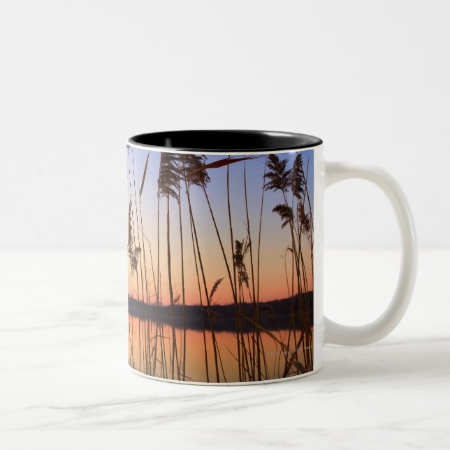 Plant Silhouette by Lakeside sunset Two-Tone Coffee Mug (Right)