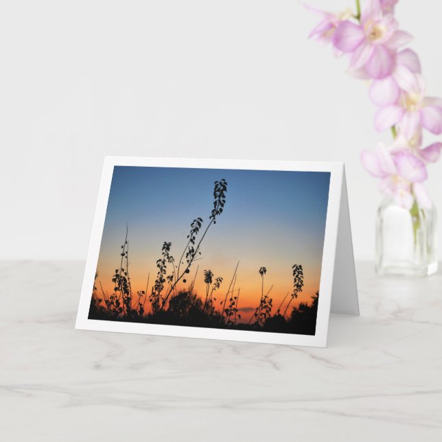 Plant Silhouettes in Sky Landscape Card (Orchid)