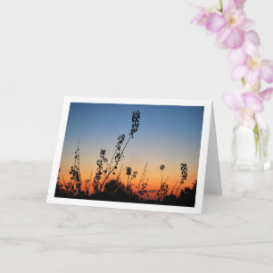 Plant Silhouettes in Sky Landscape Card