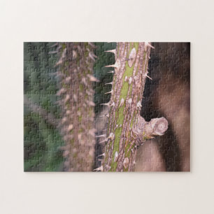 Plant Stem Thorns Nature Park Photography Jigsaw Puzzle