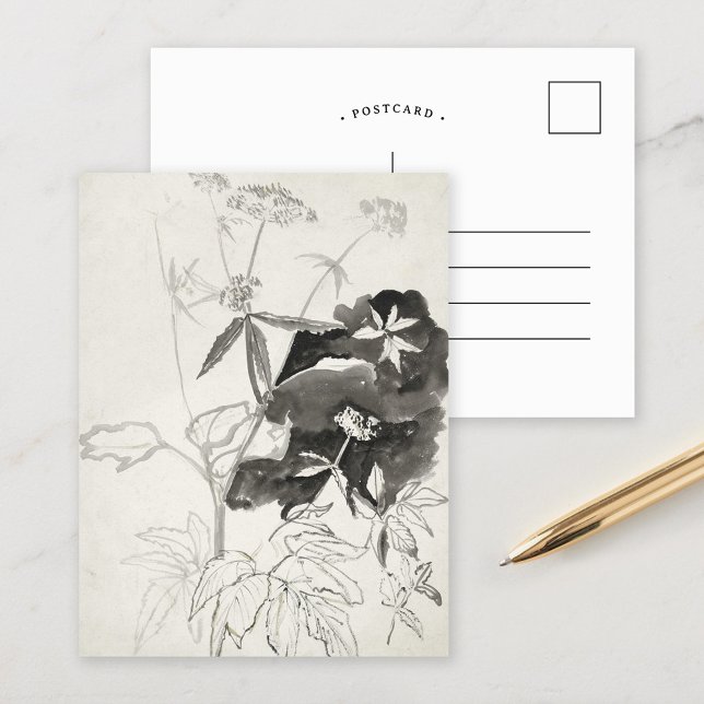 Plant Study | Carel Adolph Cachet Postcard (Creator Uploaded)