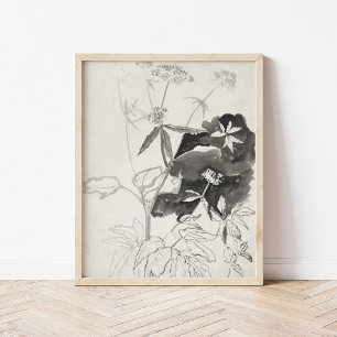 Plant Study   Carel Adolph Cachet Poster