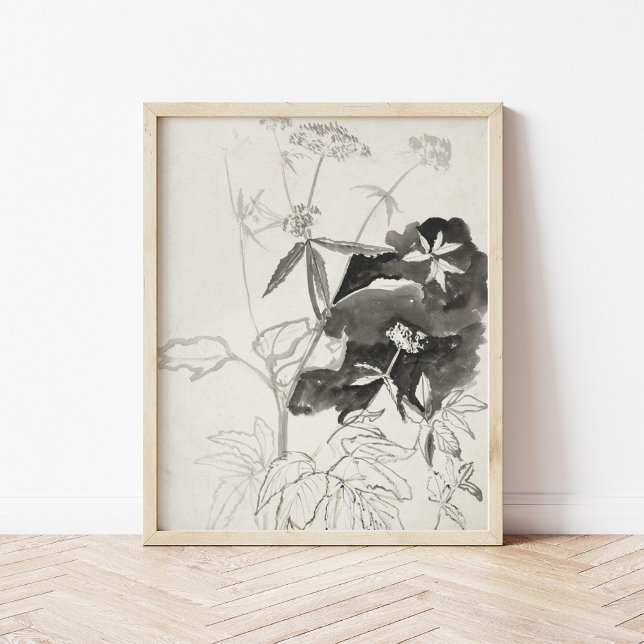 Plant Study | Carel Adolph Cachet Poster (Creator Uploaded)