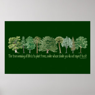 Plant Trees Poster