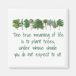 Plant Trees Shade Meaning of Life Environmental Ma Magnet