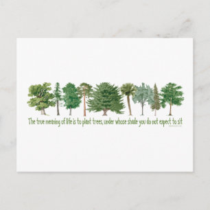 Plant Trees - Tree Lover, Hugger Postcard
