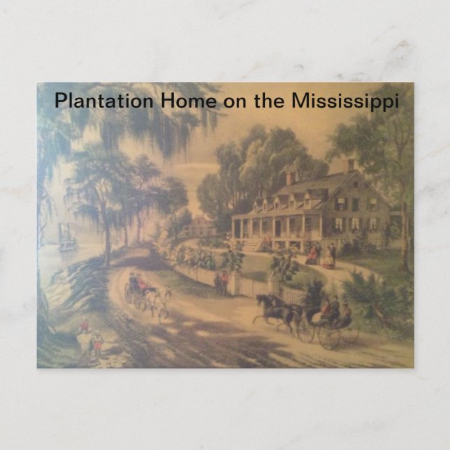 Plantation Home on the Mississippi river. Postcard (Front)