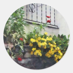 Planter With Yellow Flowering Cactus Classic Round Sticker