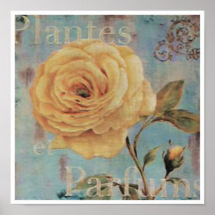 Plantes ~ Print / Poster