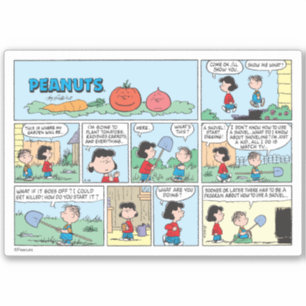 Planting A Vegetable Garden