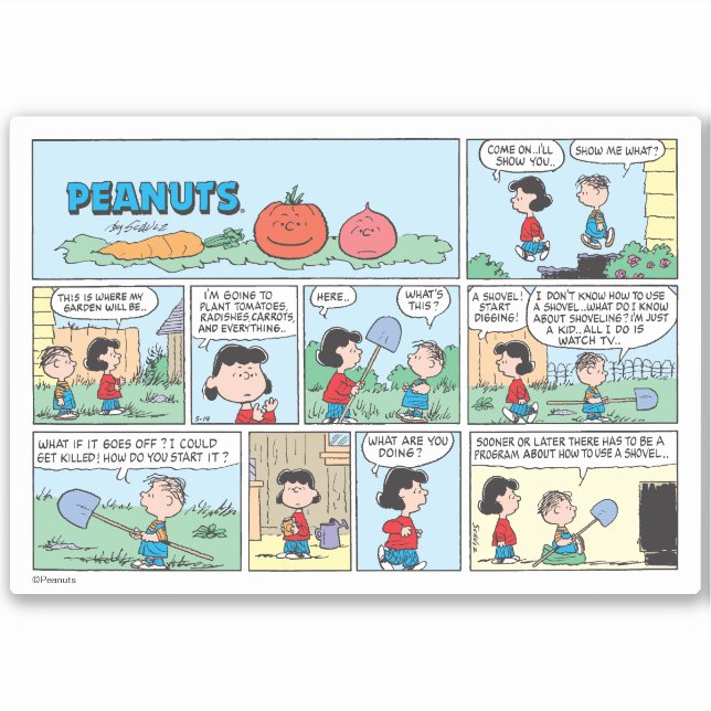 Planting A Vegetable Garden (Front)