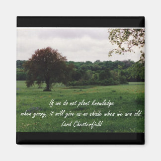 Planting Knowledge Magnet