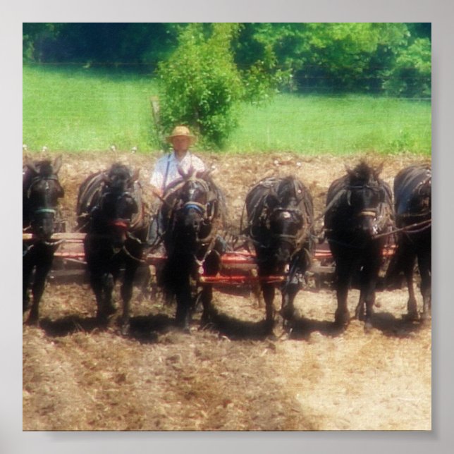 Planting Time Poster (Front)