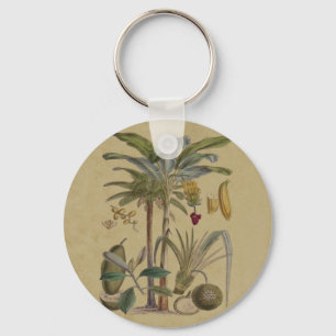 plAntique Tropical Palm Fruit Botanical Key Ring