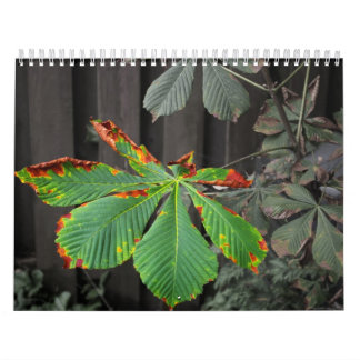 Plants Calendar