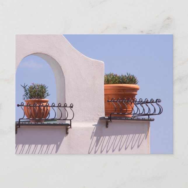Plants Hanging Out In Positano Italy Postcard (Front)