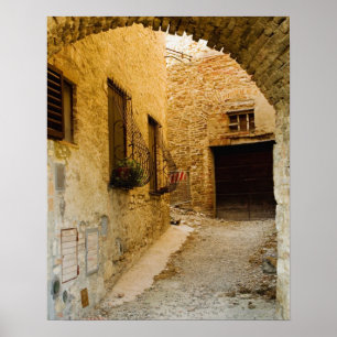 Plants in window boxes, San Gimignano, Siena Poster