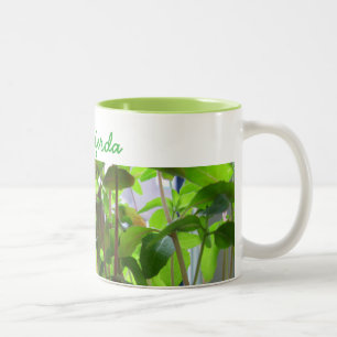 Plants Keep Growing Seeds with Name Two-Tone Coffee Mug