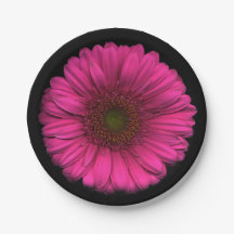 Plants on Plates Pink Daisy