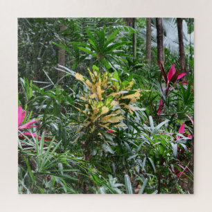 plants, park, asia, palm trees, exotic, puzzle, jigsaw puzzle