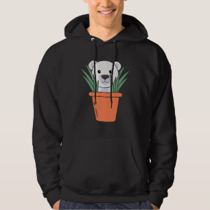 Plants Polar Bear Bears Flower Pot Bear Polar Bear Hoodie