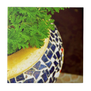 Plants Pot Tile