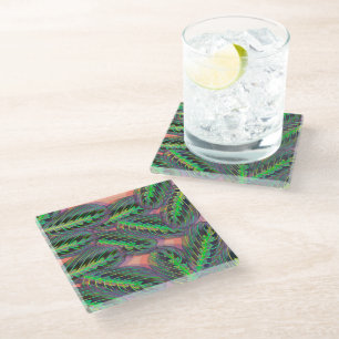 Plants Tropical Calathea Maranta Leaf Pattern Coa Glass Coaster