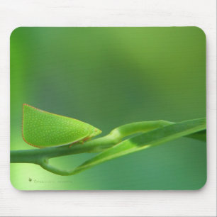 PlantWalker Mouse Pad
