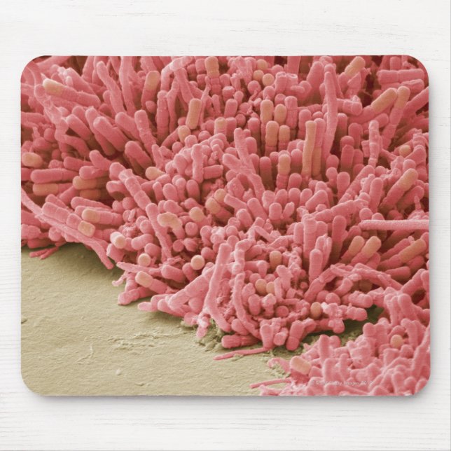 Plaque-forming bacteria, coloured scanning mouse pad (Front)
