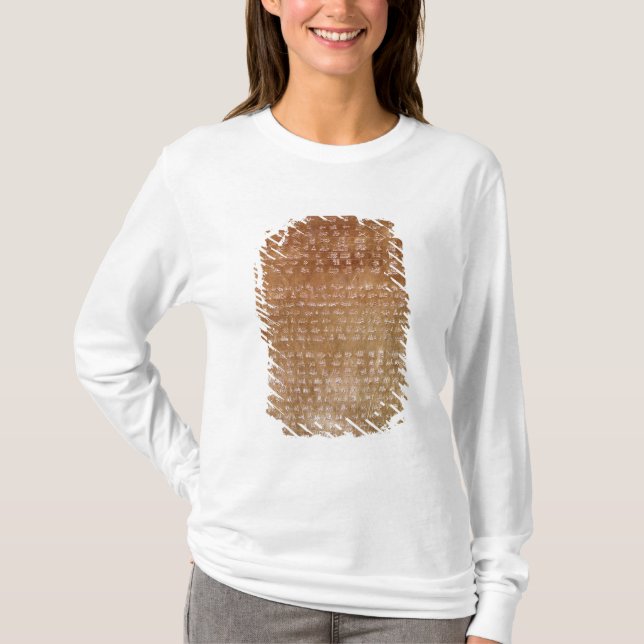 Plaque of Darius I  550-500 BC T-Shirt (Front)