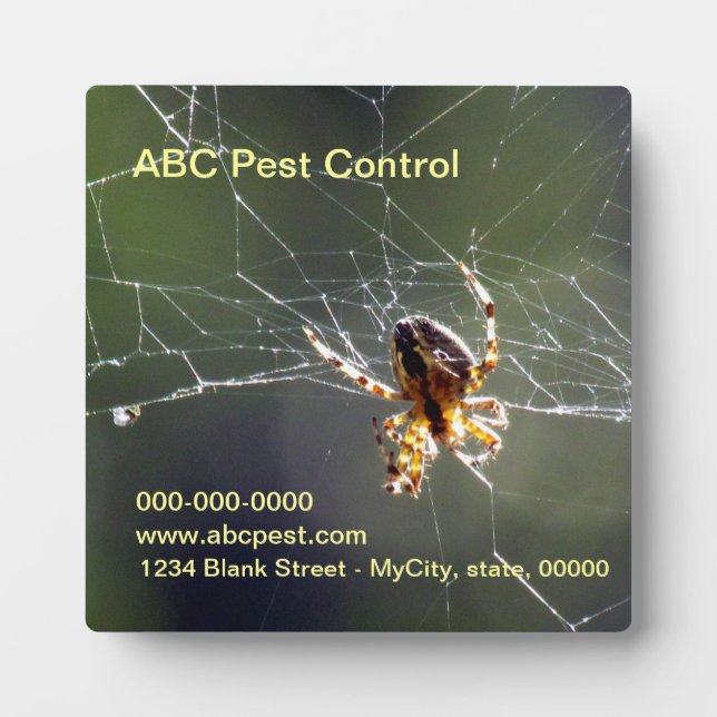 Plaque - Spider (Front)