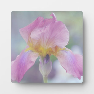 Plaque w/Easle The Iris in Pastels