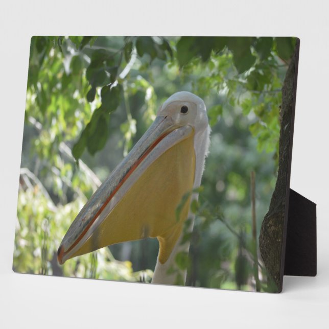 Plaque with funny pelican (Side)