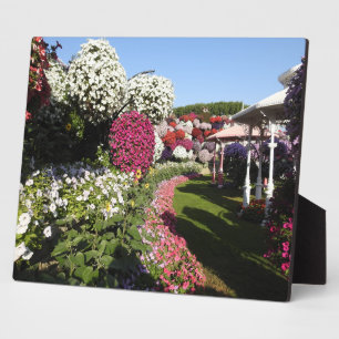 Plaque with petunias