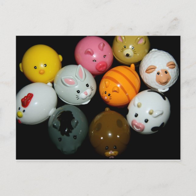 Plastic Animal Post Card (Front)