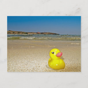 Plastic Duck at the Beach Postcard