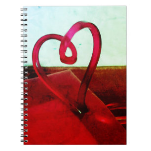 Plastic Heart Notebook